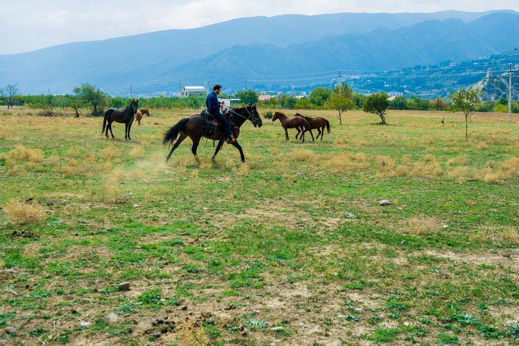 Zedazeni Hotel Mtsʼkhetʼa Zewnętrze zdjęcie